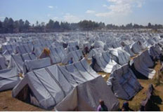 Naivasha IDPs return to camps, decry abandonment