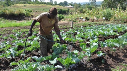 A sure way to make farming chic and ensure food security