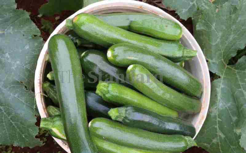 Amazing health benefits of courgette