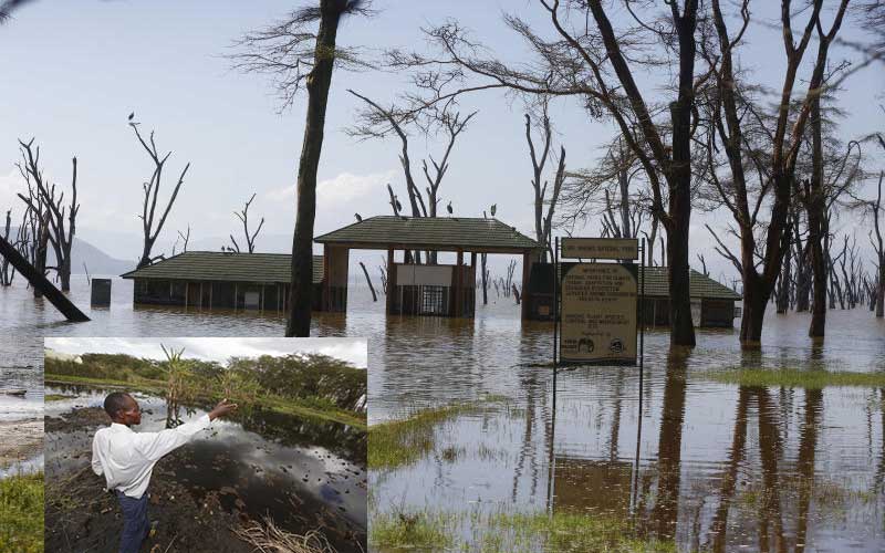 Anxiety as lakes swell and spill over to farms