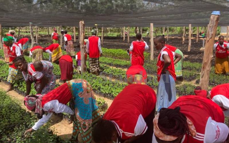 Arsenal kick-starts afforestation project in Kilifi to combat climate change