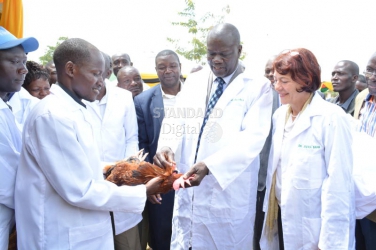 Don’t ignore that bird, it needs vaccination!