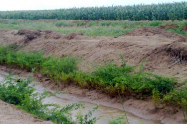 Bura irrigation scheme to retire expensive diesel pump system
