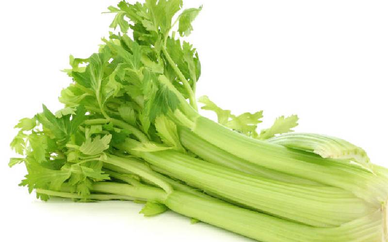 Celery: Low-calorie veggie for fitness fanatics