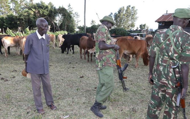Change tack in efforts to tame cattle rustling