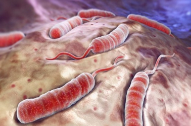 Cholera kills one more in Budalang'i 