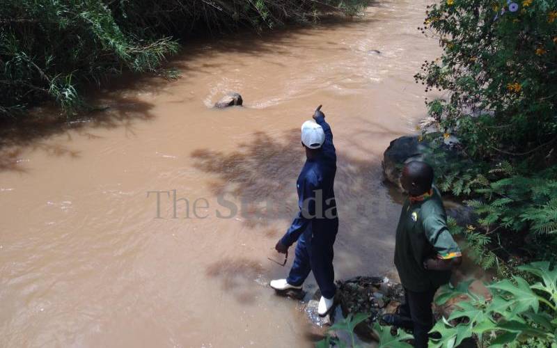 DPP, DCI wrangles linked to delayed probe into River Yala bodies saga