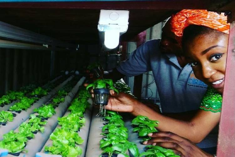 Oluwayimika Angel Adelaja