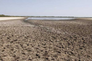 Drought is now a national disaster