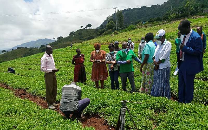 Elgeyo Marakwet, KALRO In Partnership To Boost County Health Through ...