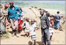 Resettlement of forest evictees stalls