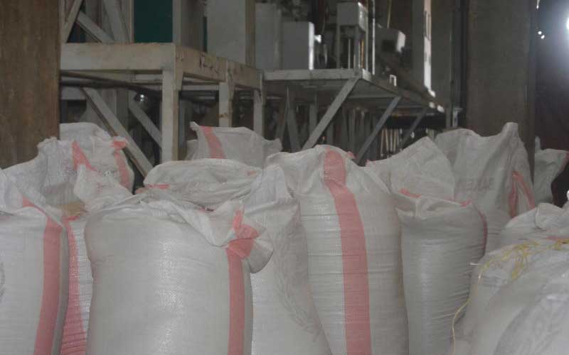 Exporter of Gunny Bags from Junagadh, Gujarat by Bholenath International