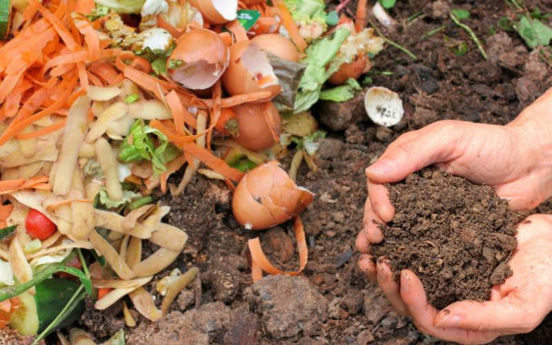 Fertiliser stress? Try compost ideas 