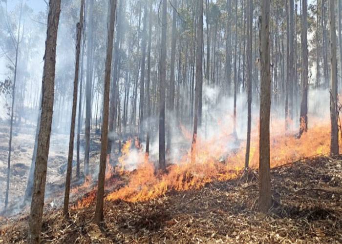 Fire breaks out in Kanzokea Forest in Machakos