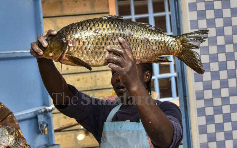 Lake Naivasha fishermen in dilemma over new KMA directives