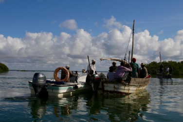 Fishermen seek ways to stay afloat as oceans warm up and destroy marine life