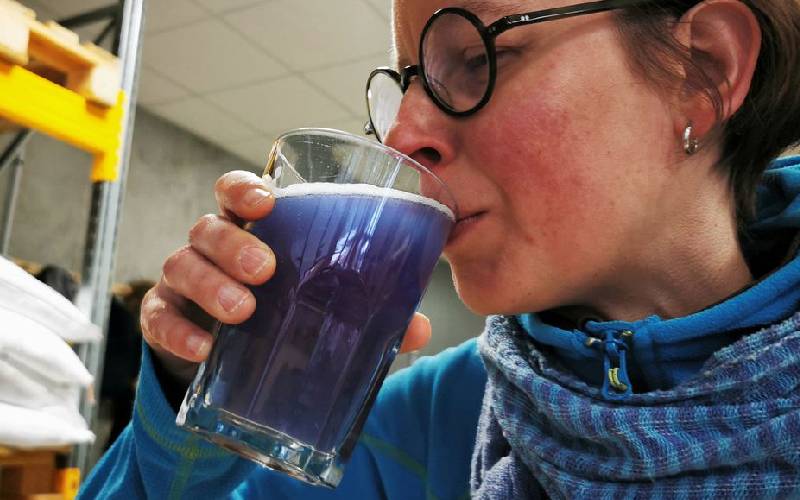 French brewers use algae to make blue beer