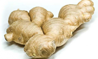 Growing ginger, from planting to harvest