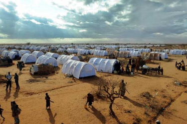 Handle refugee issue with greater sensitivity