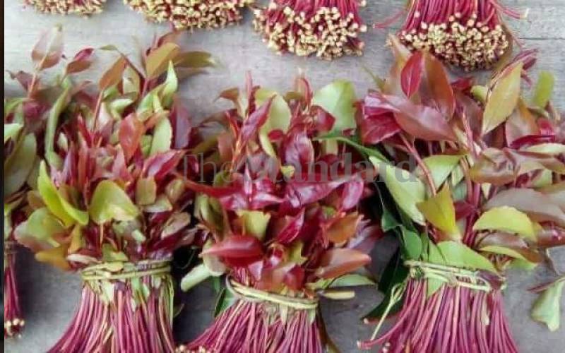 Hope as State explores new markets for miraa