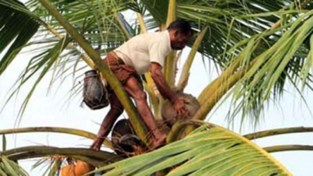 Hope for Coconut Industry as NACOSTI Launches Research Chair