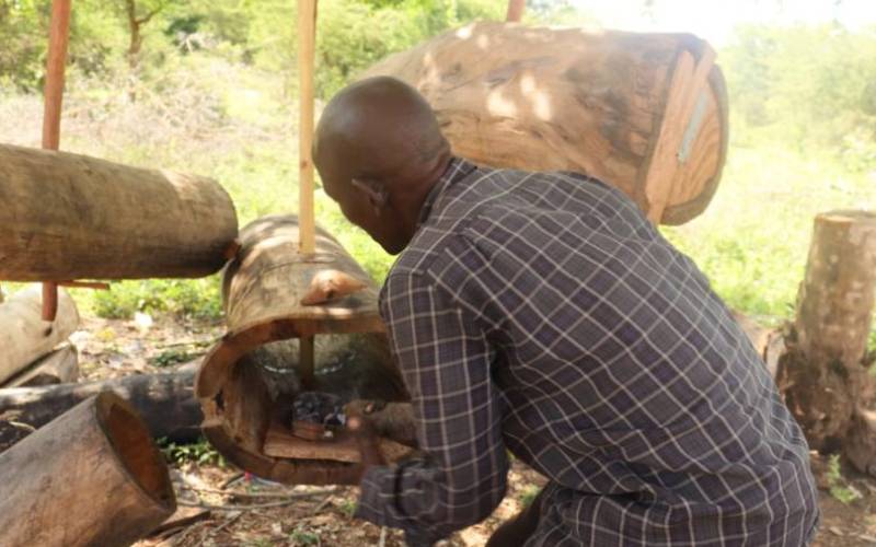How this farmer is reaping benefits of beekeeping 