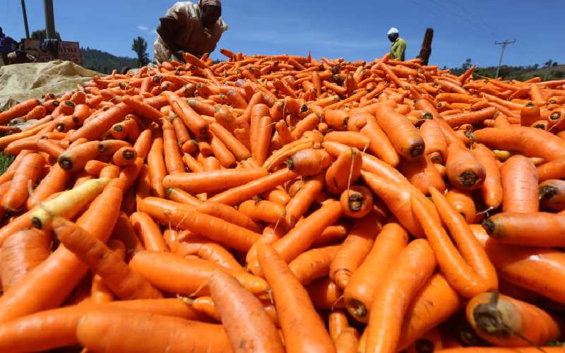 How to grow crunchy carrots that clients love