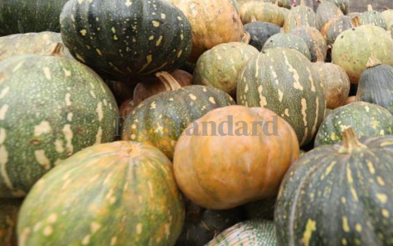 How to grow pumpkins for commercial purposes