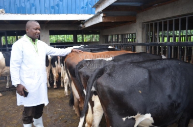 Kenya dairy farmers get Sh2.3b funding