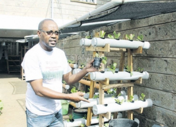 Lavington farmer does green wonders using hydroponics