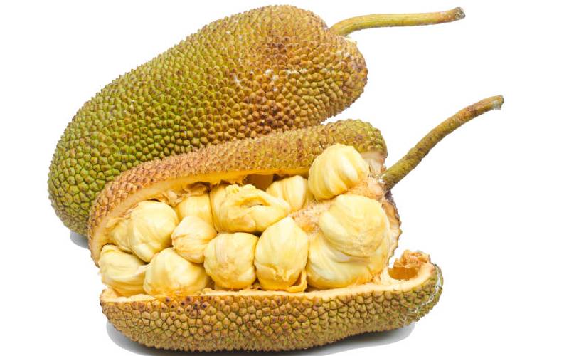 Jackfruit: Giant fruit that can change your fortunes