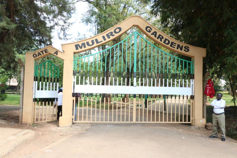 Muliro Gardens From Den To Family