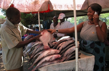 Kenya-South Korea MoU boosts local fishing industry