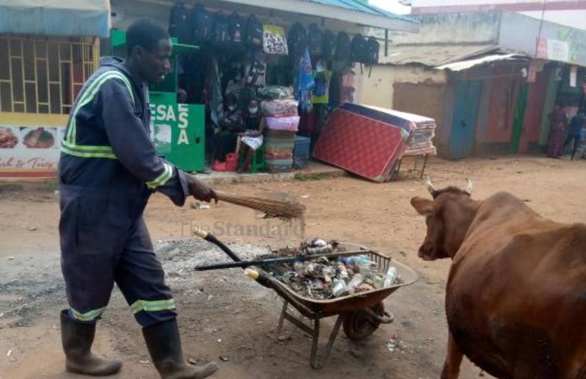 A cow struggling to grab waste in Kitale town