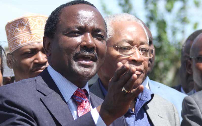 Leaders fault Kalonzo call on term limits