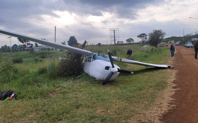Light aircraft crashes near Tatu City