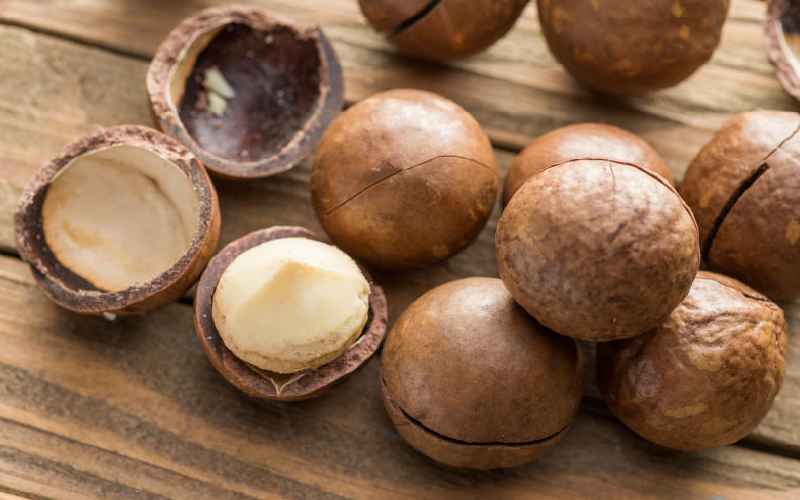 Macadamia nuts named after scientist’s best friend