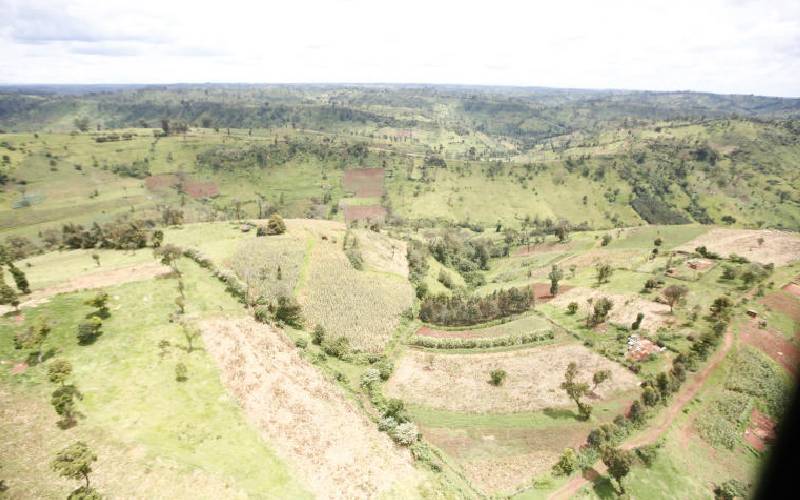 Mau Forest restoration chocking under endless court battles
