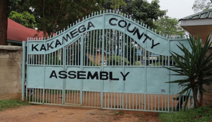 MCAs accuse MPs of being divisive