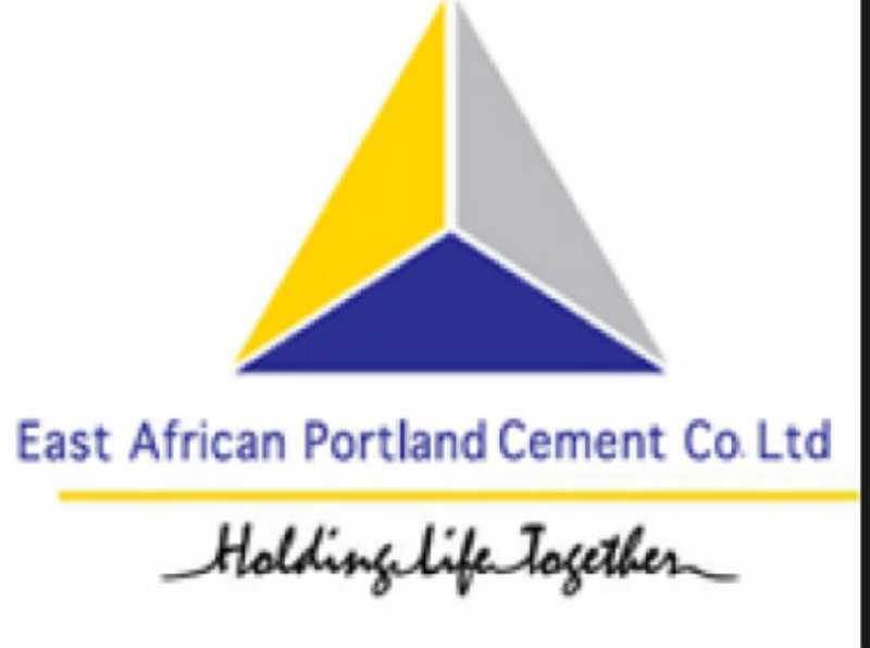 Portland Cement Company insolvent, says Ouko - The Standard