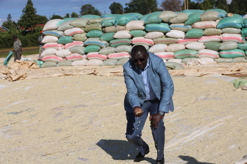 NCPB starts maize purchase but Rift farmers unhappy with price