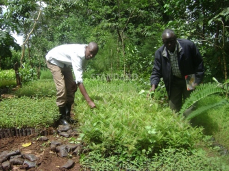 Family’s project a life saver for Nandi ecosystem