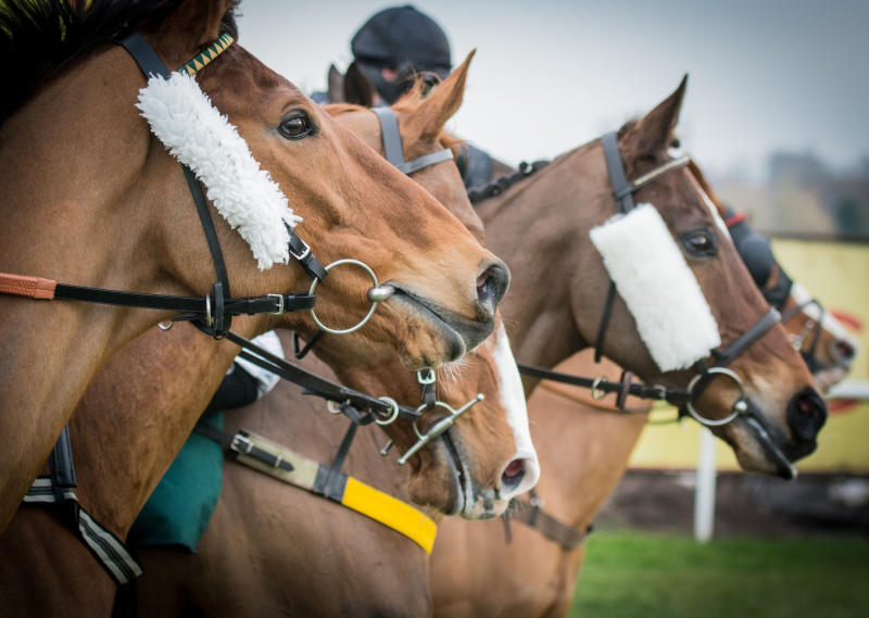 Polo: Nightmares overcome Cruise Control to progress to knockout stage