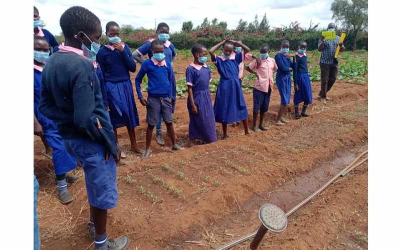 Private farm offers CBC learners practical skills