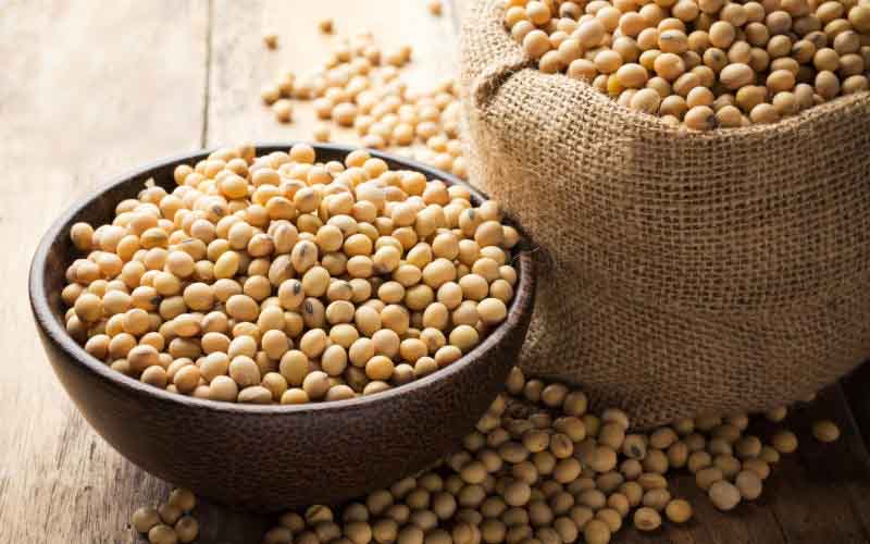 Reap a pretty profit from protein-rich soybean