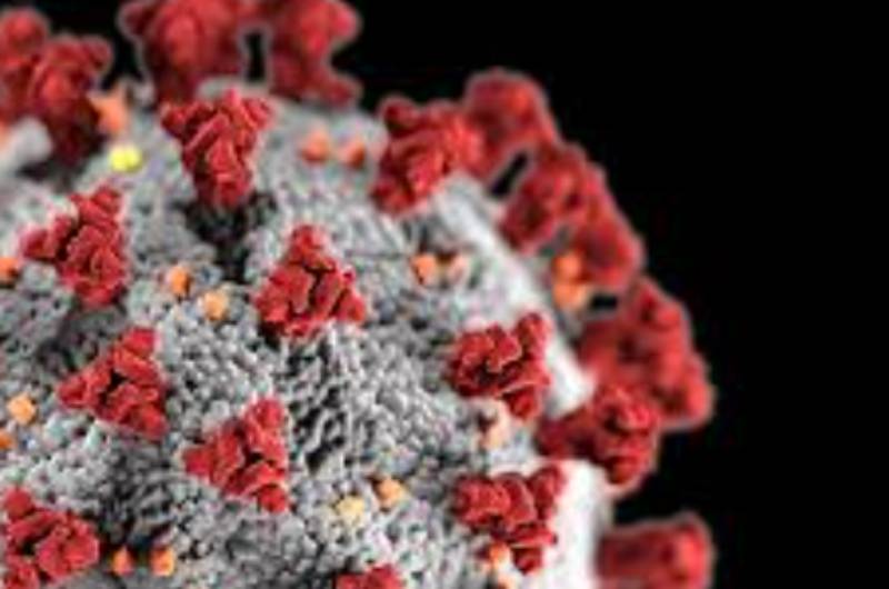 Special need schools seek help to fight coronavirus