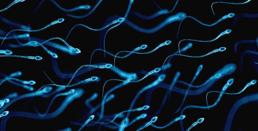 Sperm containing virus raises risk of spread via sex