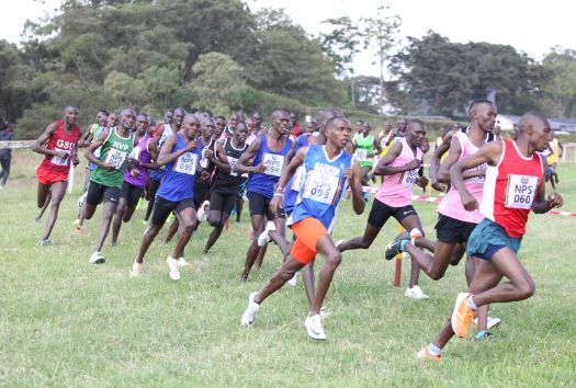 Stars battle at Cross Country trials