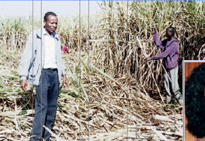 Kenya Sugar Board faces top management team shake-up