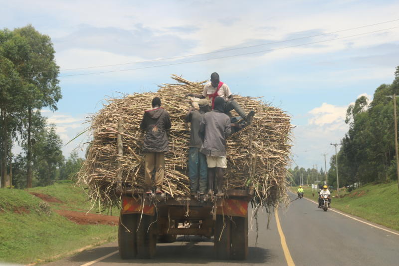 Sugarcane farmers’ unions, millers differ over zoning plan